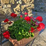 Guest house Cucina Condivisione E Natura - Il Rifugio Perfetto Per Gruppi Fino 31 - Assisi Perugia Pianello (Umbria)