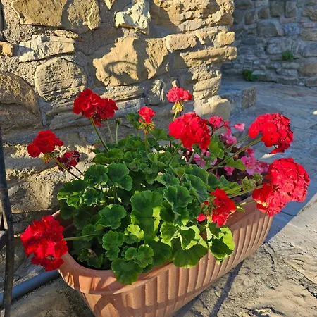 Guest house Fino 31 Posti - Vista Unica Sulla Valle - Assisi Perugia Pianello (Umbria)