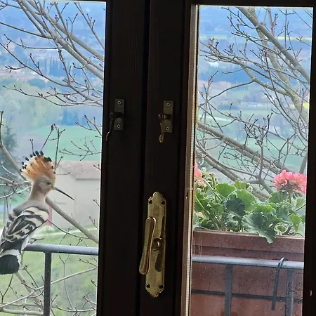Casa de hóspedes Cucina Condivisione E Natura - Il Rifugio Perfetto Per Gruppi Fino 31 - Assisi Perugia